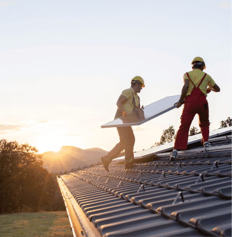 Professional insight